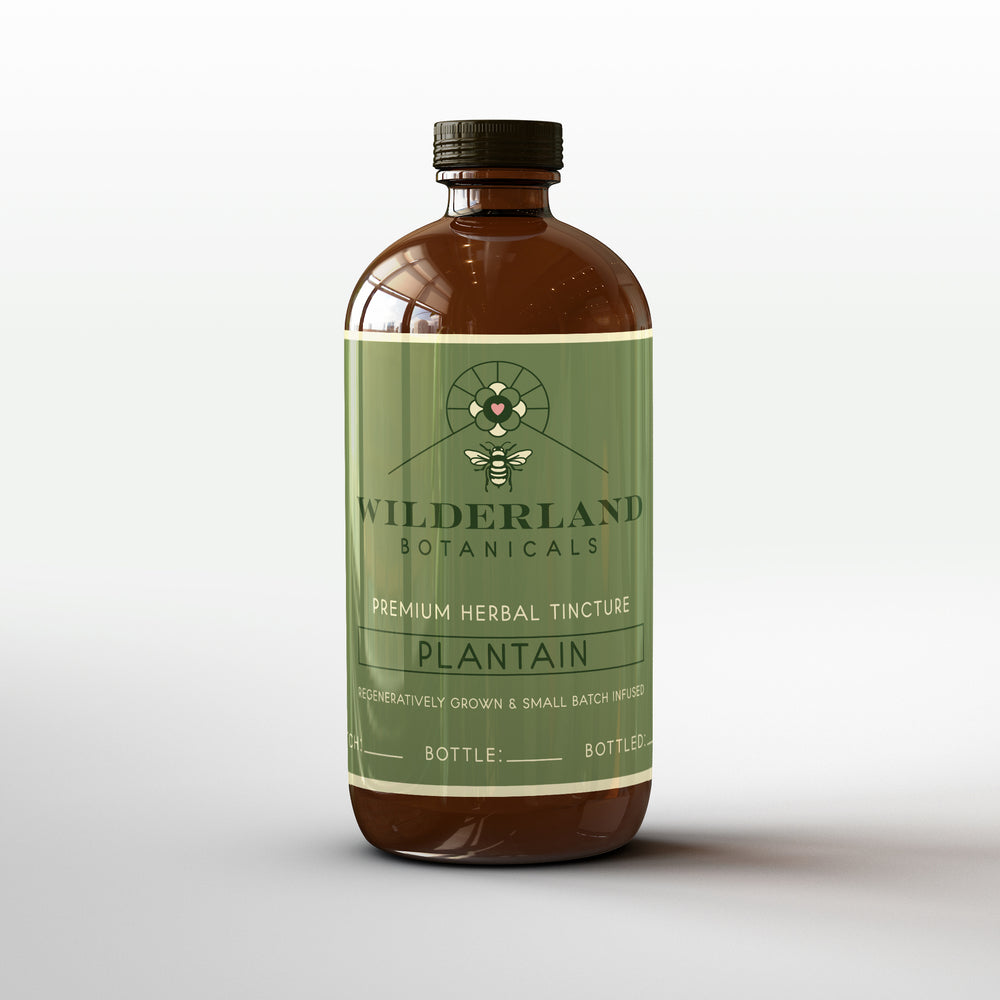 
                  
                    Regenerative Organic Plantain Tincture, 250mL Bottle – Wilderland Botanicals
                  
                
