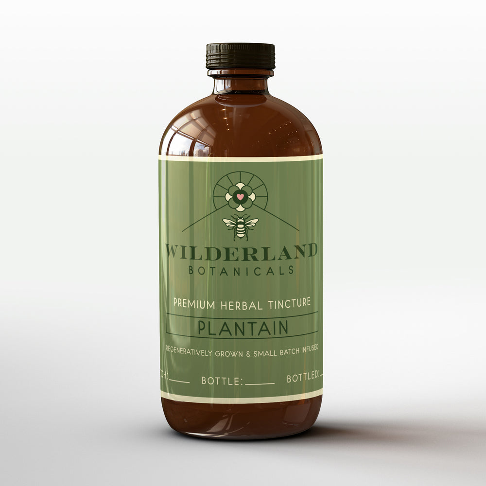 
                  
                    Regenerative Organic Plantain Tincture, 500mL Bottle – Wilderland Botanicals
                  
                