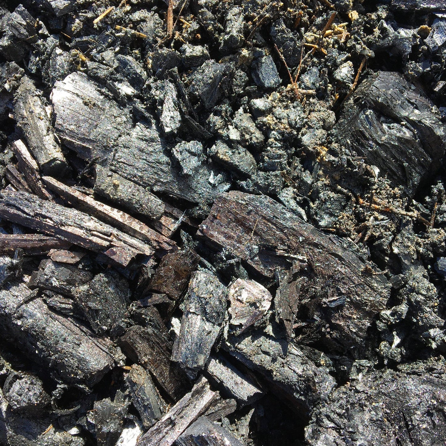 Pyrolyzed biochar - Wilderland Botanicals