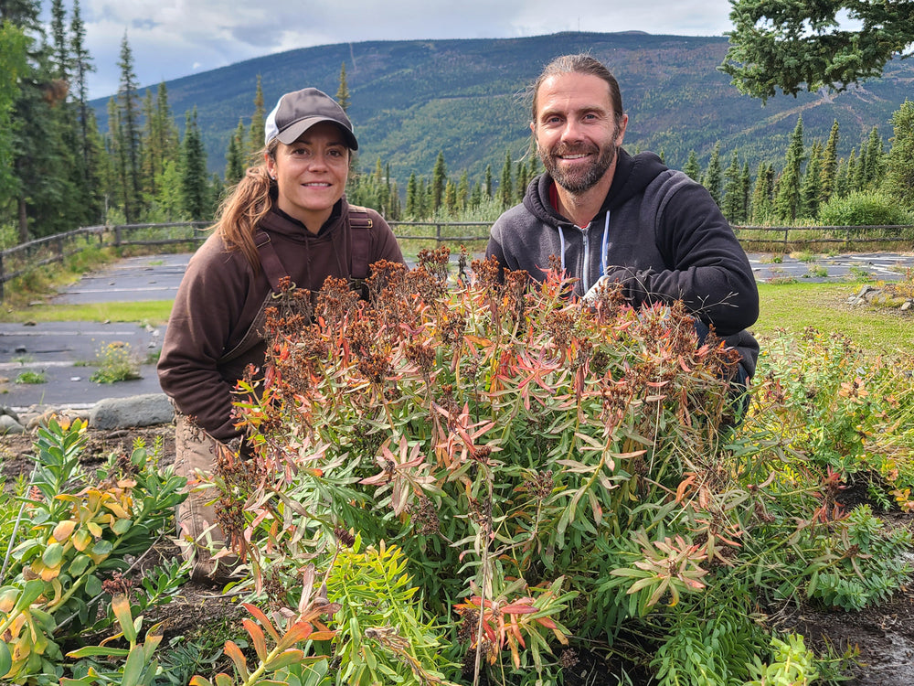 CANADA’S FIRST REGENERATIVE RHODIOLA ROSEA FARM LAUNCHES PREMIER NATURAL HEALTHCARE PRODUCTS COLLECTION