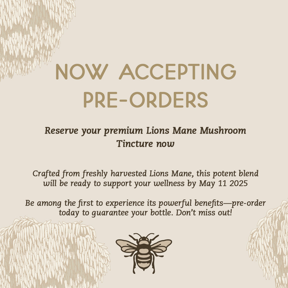 lionsmane tincture preorder