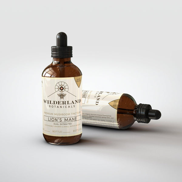 Best Lions Mane Tincture