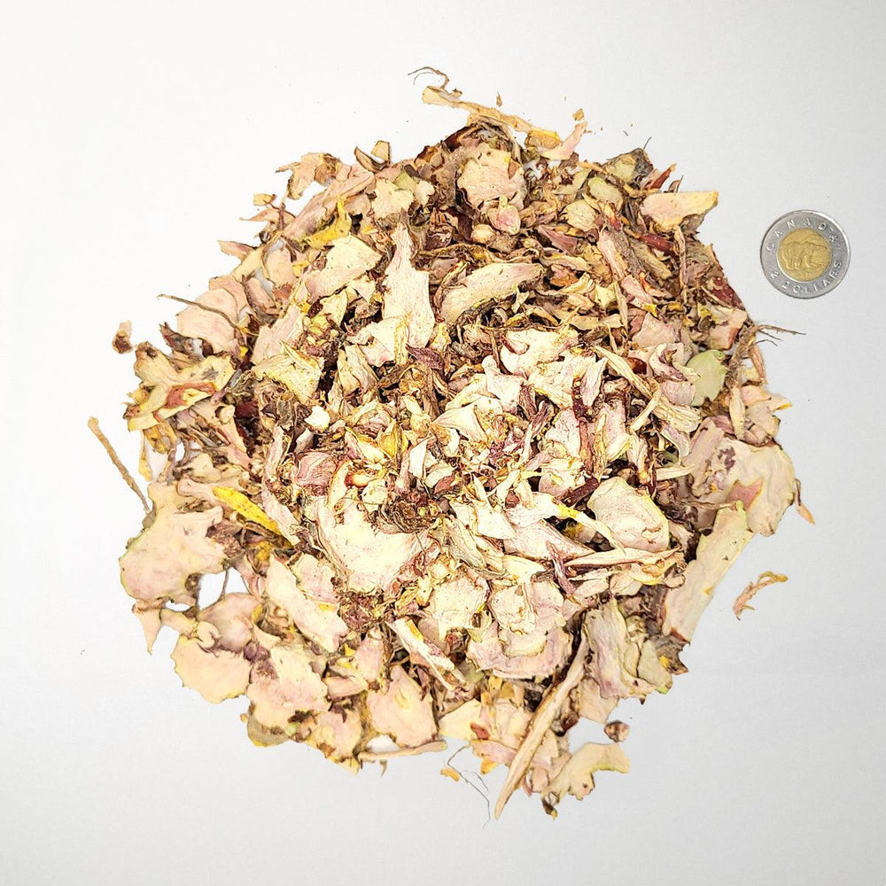 Rhodiola rosea dried and cut bulk roots